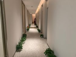 -北京博泽医疗美容门诊部