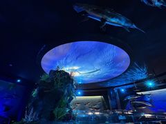 -陕西自然博物馆