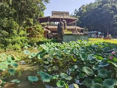 -天芳悦潭度假村温泉