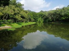 -孔雀园餐厅