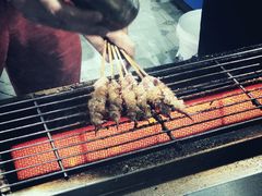 烤羊肉串-大学城夜市大排档(凤栖路店)