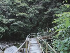 -鹿院坪生态旅游景区
