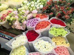 -朝来春花卉市场