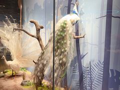 -陕西自然博物馆