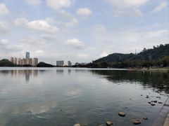 -顺峰山公园