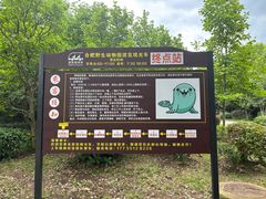 -合肥野生动物园