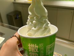 -Salud撒露欧洲冻酸奶(蓝色港湾店)
