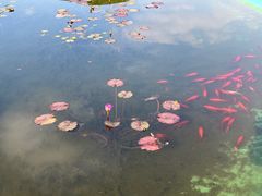 -南通洲际绿博园