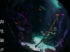 -沈阳海洋探索中心