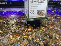 水产区-盒马鲜生(岭南新世界店)
