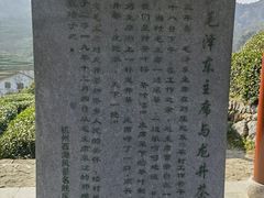 -龙井村