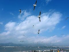 -海埂大坝