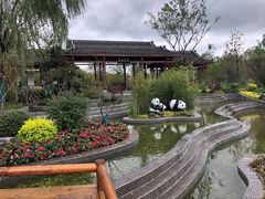 -东平国家森林公园