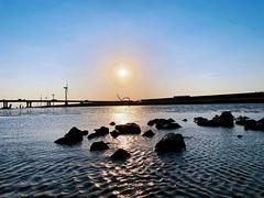 -南汇新城海滩