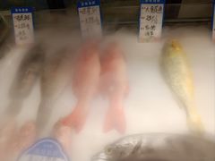 -闽海肴(北辰荟店)