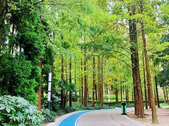 -苏州河梦清园环保主题公园