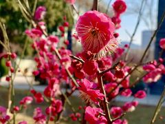 -山东师范大学(千佛山校区)