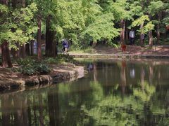 -上海共青森林公园