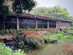 -中国茶叶博物馆(双峰馆区)
