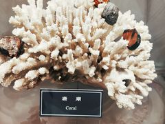 -中国地质大学逸夫博物馆