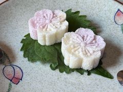 -芙蓉堂(武汉天地店)