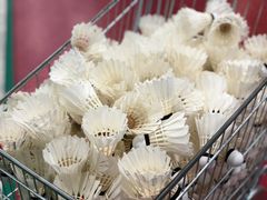 -上海博宽羽毛球馆(双桥路分部)