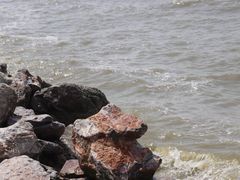 -合肥滨湖国家森林公园