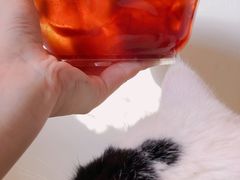 -黄氏沥泉·冰粉(玉林店)