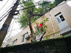 -中华全国文艺界抗敌协会旧址