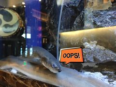 -石葵(锦业时代店)