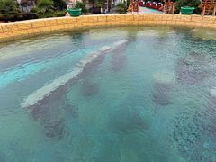 -上海玛雅海滩水公园