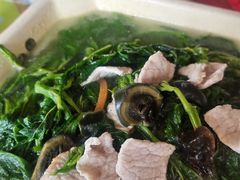 -荔枝红五号农庄
