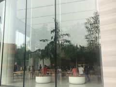 -Apple零售店(济南恒隆广场店)