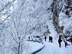 -秦岭风景区