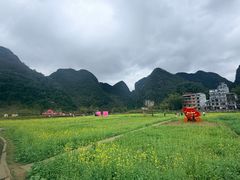 -靖西鹅泉风景区