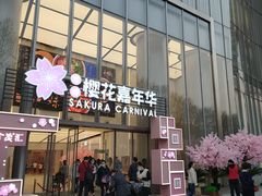 -金茂览秀城