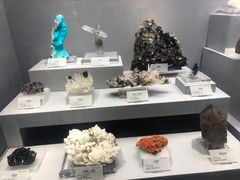 -湖南省地质博物馆