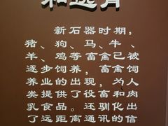 -中国农业博物馆
