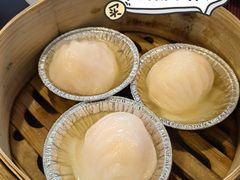 -汕头猛狮凯莱酒店点心坊