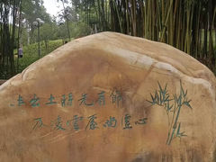 -深圳龙潭公园