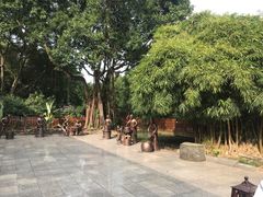 -金花茶公园