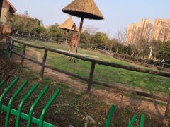 -南昌动物园