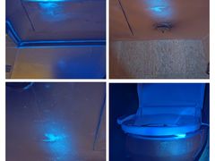 -南京维景国际大酒店(南京博物院店)