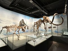-辽宁古生物博物馆