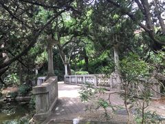 -叶家花园