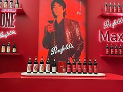 -成都尼依格罗酒店