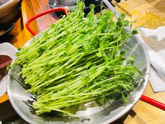-手选潮汕鲜牛肉火锅(二七广场店)