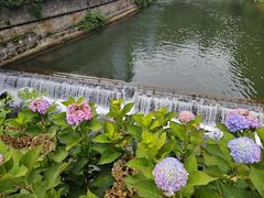 -龙苍沟森林公园