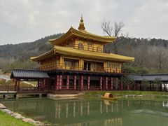 -千年银杏谷文化旅游区