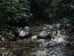 -瓦屋山景区